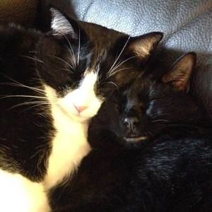 Meet your Posher, Max